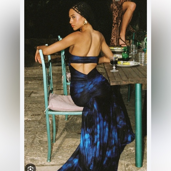 SYDNEY LANE BRONTE GATHERED MESH DRESS - Picture 6 of 14